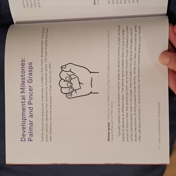 Simple & Safe Baby-Led Weaning - Picture 3 of 4